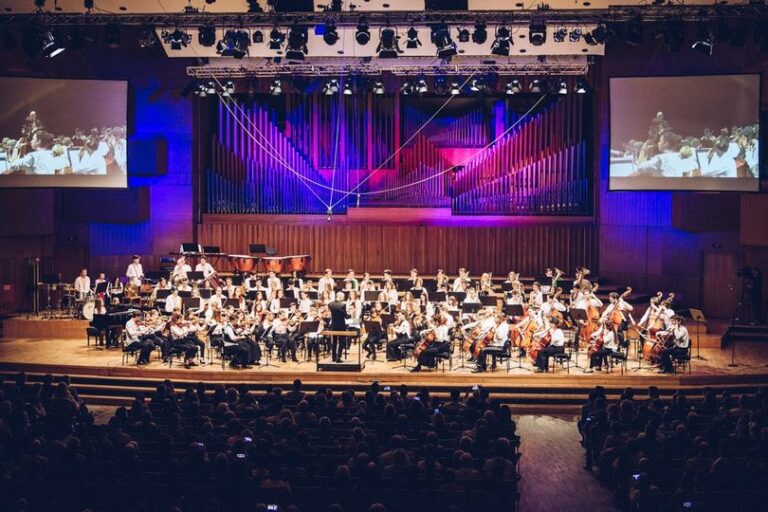 Mladi za budućnost: Humanitarni koncert SO DO orkestra za Fond Desa & Jerko Baković!